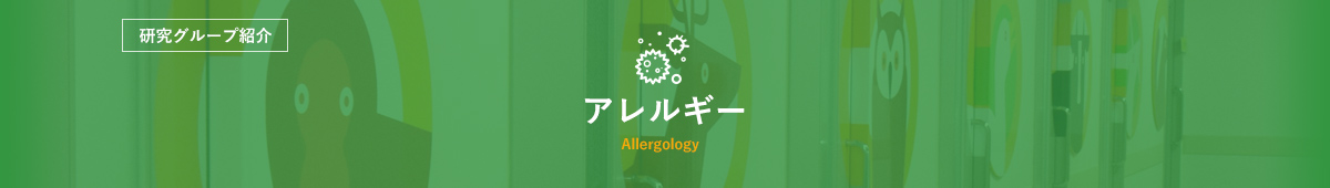 研究グループ紹介　アレルギー