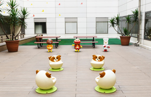 九州大学医学部小児科